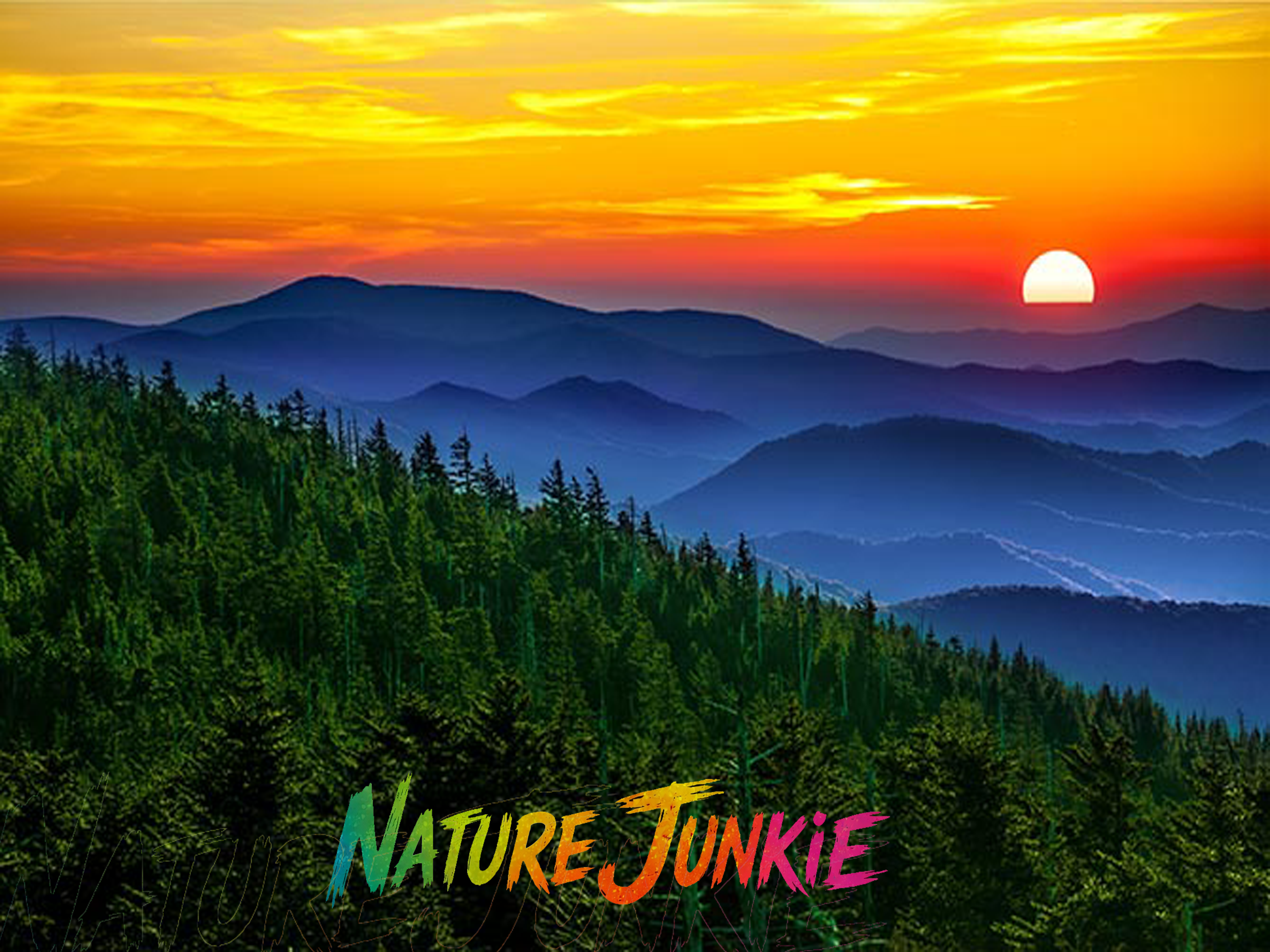 Nature Junkie