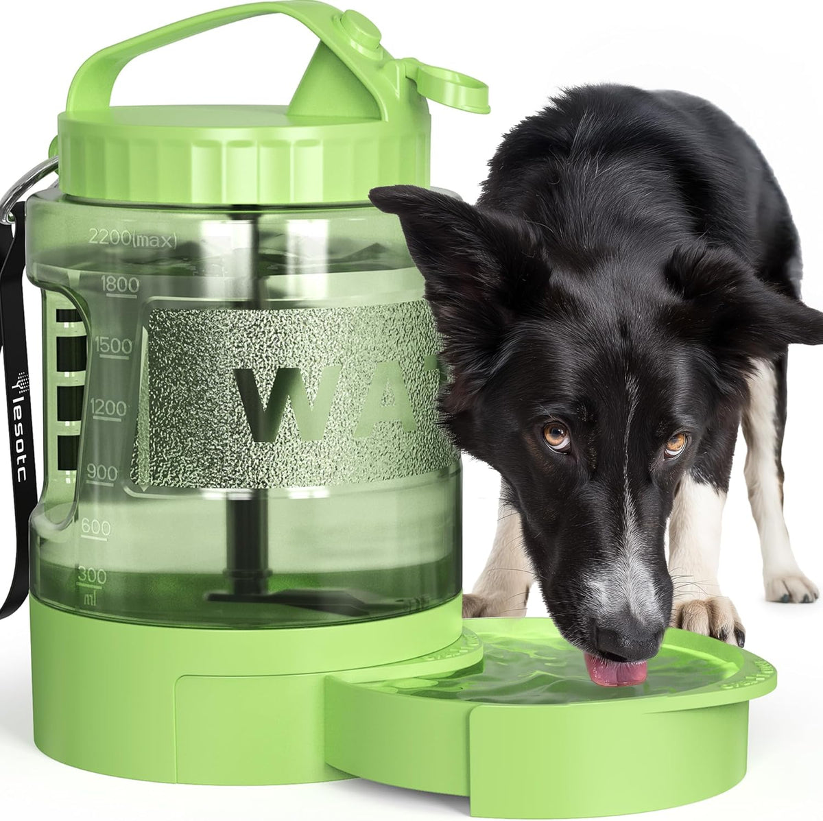 Pet Junkie 77oz Large Dog Travel Water Bottle with Built-In Bowl