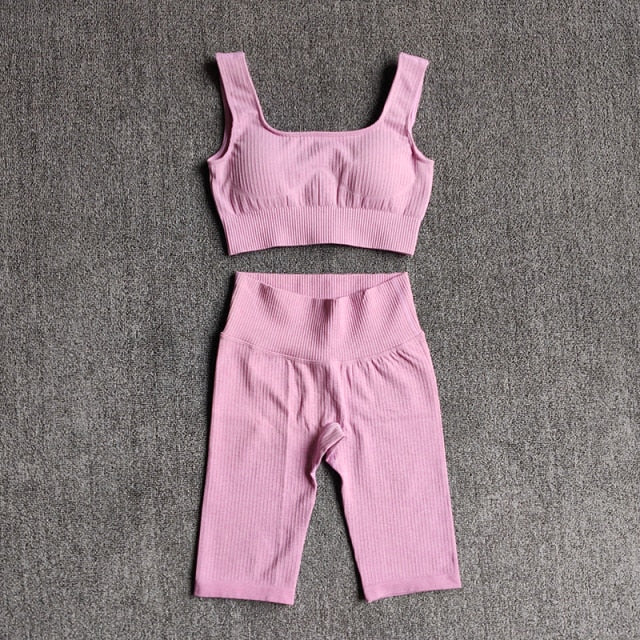 Sports Junkie – Women's Seamless 2-Piece Training Set