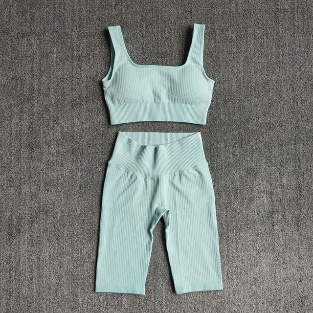 Sports Junkie – Women's Seamless 2-Piece Training Set